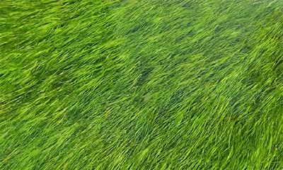 2019年腊月二十七女孩五行缺金如何起名?用什么字?