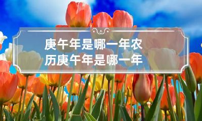 庚午年是哪一年 农历庚午年是哪一年