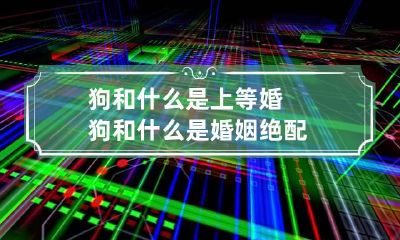 狗和什么是上等婚 狗和什么是婚姻绝配