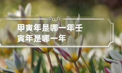 甲寅年是哪一年 壬寅年是哪一年