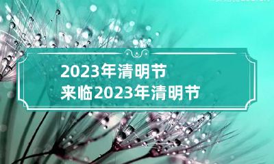 2023年清明节来临 2023年清明节是几号