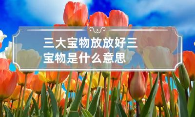 三大宝物放放好 三宝物是什么意思
