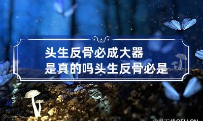 头生反骨必成大器是真的吗 头生反骨必是龙命