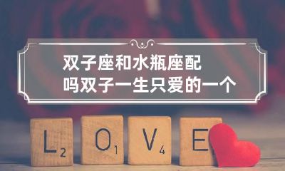 双子座和水瓶座配吗 双子一生只爱的一个星座
