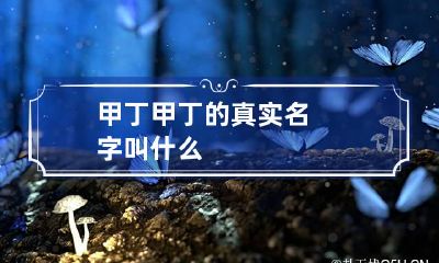 甲丁 甲丁的真实名字叫什么