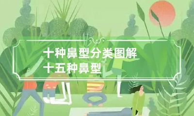 十种鼻型分类图解 十五种鼻型