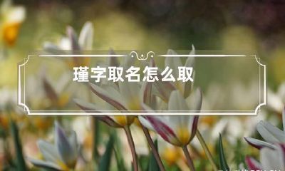 瑾字取名怎么取