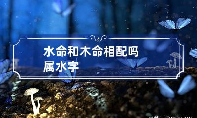 水命和木命相配吗 属水字