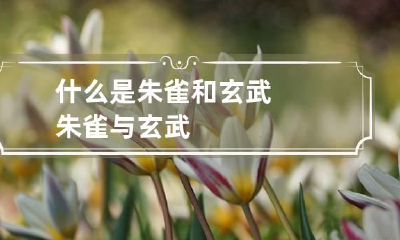 什么是朱雀和玄武 朱雀与玄武