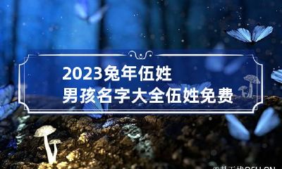 2023兔年伍姓男孩名字大全 伍姓免费取名