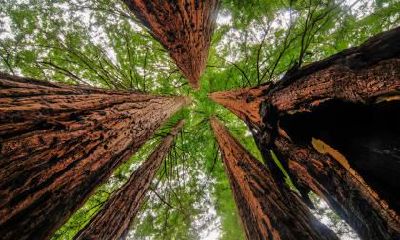 2018年10月10日出生宝宝什么五行?五行起名该如何取?