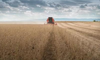 2020年农历六月二十一日五行缺土名字男孩用