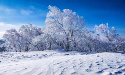 2018狗年大雪出生的男孩八字缺木名字推荐大全,缺木的危害
