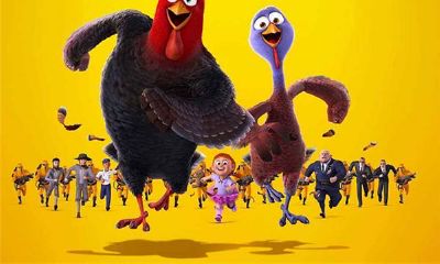 生肖鸡男的婚配生肖详解