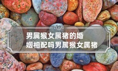 男属猴女属猪的婚姻相配吗 男属猴女属猪婚配好吗 两者相害