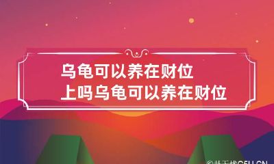 乌龟可以养在财位上吗 乌龟可以养在财位上吗