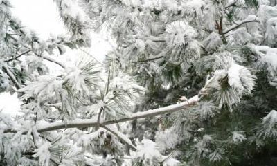 2019年冬至温度是多少?冬至有多冷?