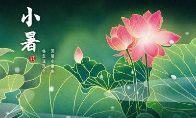 2019年大雪节气出生的男宝宝起名