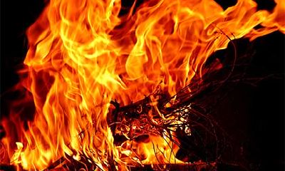 2019年大雪出生的女孩五行缺木起名