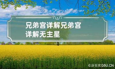 兄弟宫详解 兄弟宫详解无主星
