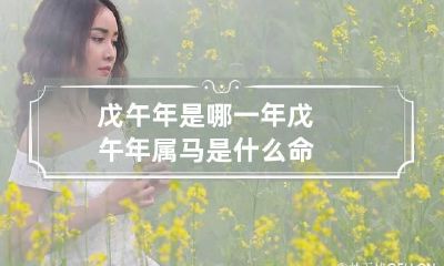 戊午年是哪一年 戊午年属马是什么命
