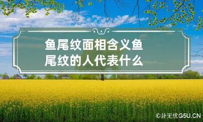 鱼尾纹面相含义 鱼尾纹的人代表什么