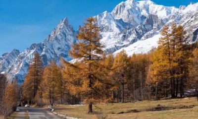 立秋2019时间表,立秋到了象征什么?