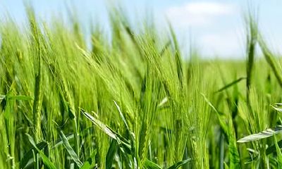 宝宝张姓五行缺金缺水大全,宝宝起名有什么规范吗?