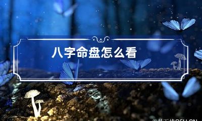八字命盘怎么看