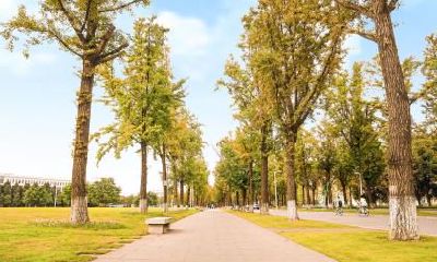 2018年五行缺金缺土男孩如何起名?缺少五行命运如何?