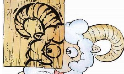 白羊男和双鱼女配对