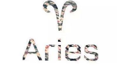 白羊女和双子男配对