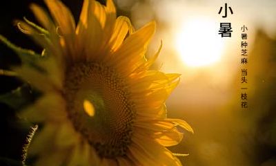 2021年农历四月二十五日芒种节气是结婚黄道吉日吗?