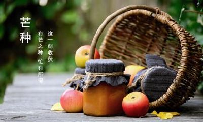 芒种出生的男孩好不好?一生命运如何?