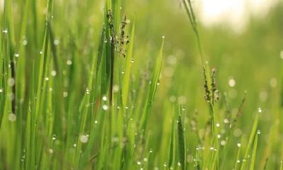 立冬节气代表什么?立冬有什么含义?