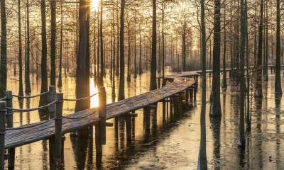 2020年大寒是什么时候?大寒的时间具体在哪个时辰?