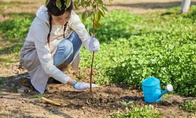 2020年植树节前一天日子好不好?时辰吉凶如何?