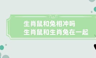 生肖鼠和兔相冲吗 生肖鼠和生肖兔在一起会怎么样