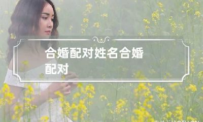 合婚配对 姓名合婚配对