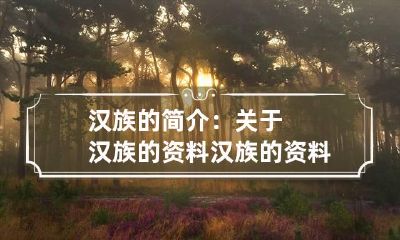 汉族的简介:关于汉族的资料 汉族的资料有哪些