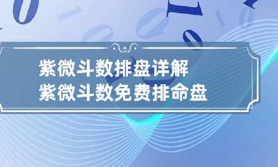 紫微斗数排盘详解 紫微斗数免费排命盘