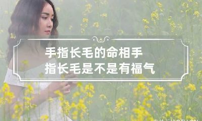 手指长毛的命相 手指长毛是不是有福气