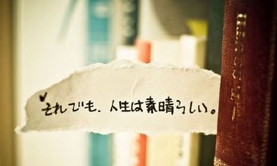 2019姓费女孩名字洋气的