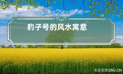 豹子号的风水寓意