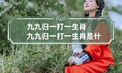 九九归一打一生肖 九九归一打一生肖是什么意思