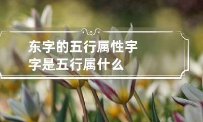 东字的五行属性 宇字是五行属什么
