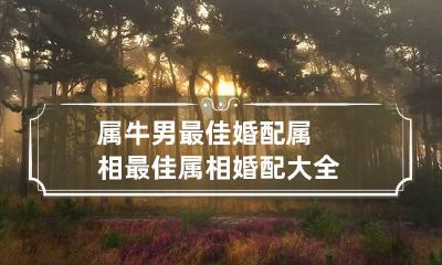 属牛男最佳婚配属相 最佳属相婚配大全