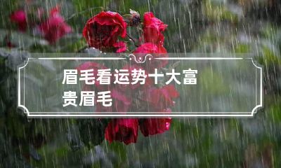 眉毛看运势 十大富贵眉毛