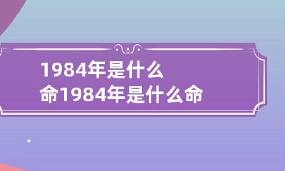 1984年是什么命 1984年是什么命格