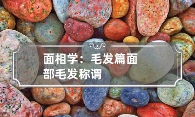 面相学:毛发篇 面部毛发称谓